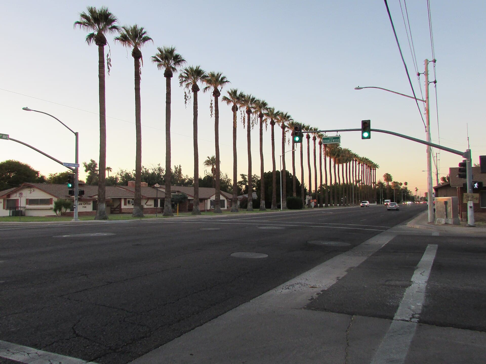 A row of tall palm trees lining a residential avenue in Glendale, Arizona's historic district at dusk, with ranch homes and a pink and blue sky.