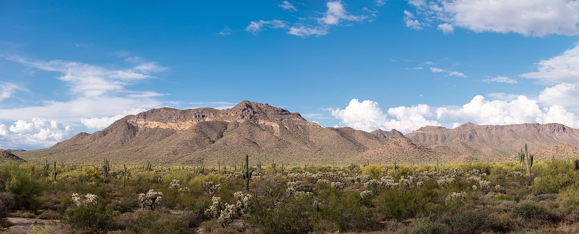 Usery Mountain rising over a saguaro-studded desert slope under a bright blue sky with white clouds, east Mesa, Arizona.